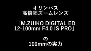 オリンパス「M.ZUIKO DIGITAL ED 12-100mm F4.0 IS PRO」の焦点距離100mmの実力