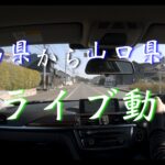 【1/3】【ドライブ編】山口県の観光地『錦帯橋』『岩国城』へ【2020年11月12日】