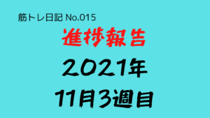 （筋トレ日記-No.015）進捗報告（2021年11月3週目：14日〜20日）：ハンギングワイパーの最高回数が18回へ更新される！