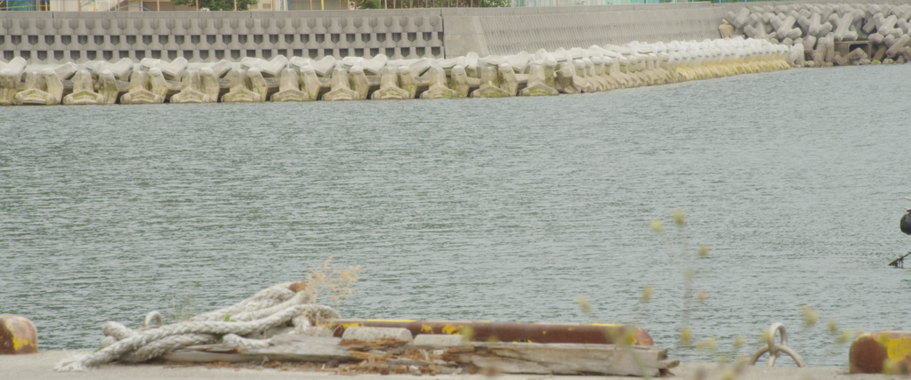 広島県呉市下蒲刈町の『大地蔵』