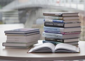 【悩み】相談相手がいない|【解決策】本から学び、純粋に実行しよう!|【参考書籍】起業の天才!